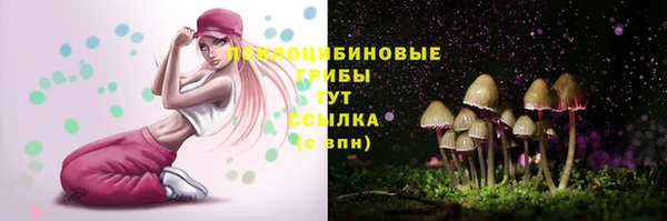 бутират Белокуриха