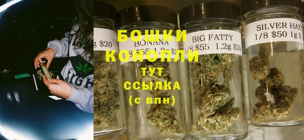 дживик Белоозёрский