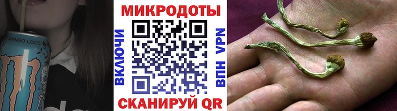 MEGA ONION  Заводоуковск  Псилоцибиновые грибы Magic Shrooms 